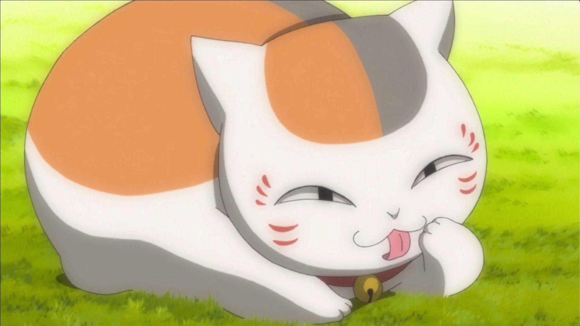 饭桶还臭烘烘的猫咪老师很生气