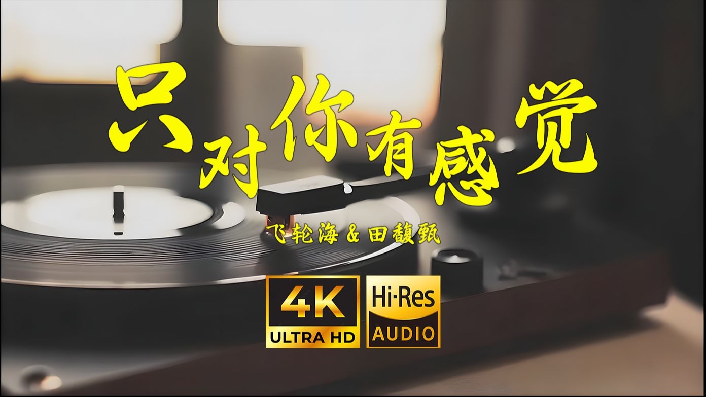 【4K Hi-Res】只对你有感觉-飞轮海&田馥甄