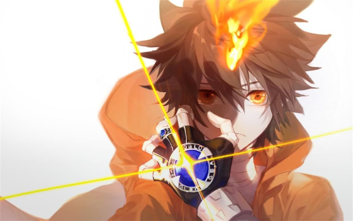 300英雄沢田纲吉语音补丁 附头像插画_哔哩哔哩bilibili_300英雄