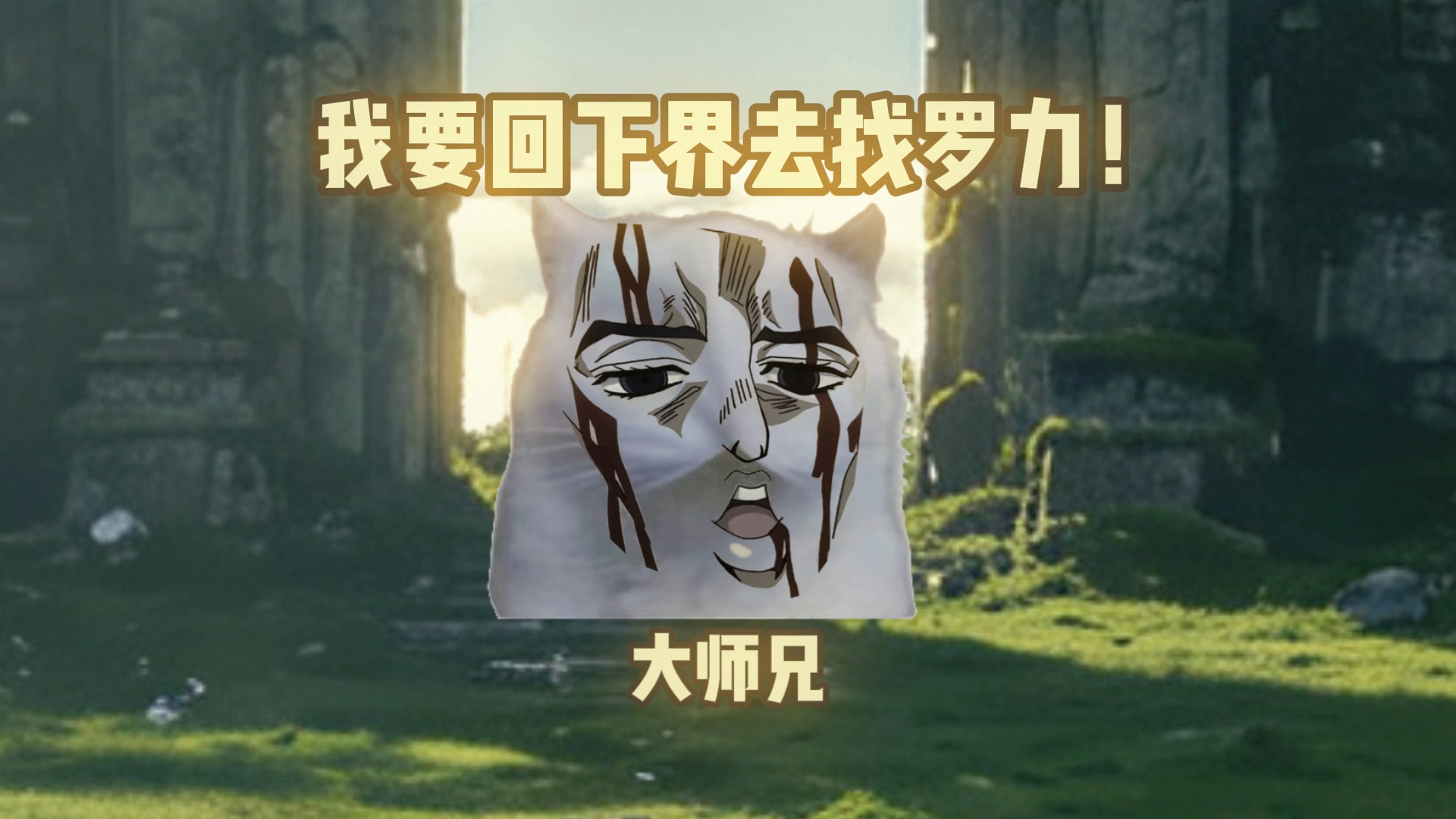 大师兄回下界的理由是什么！