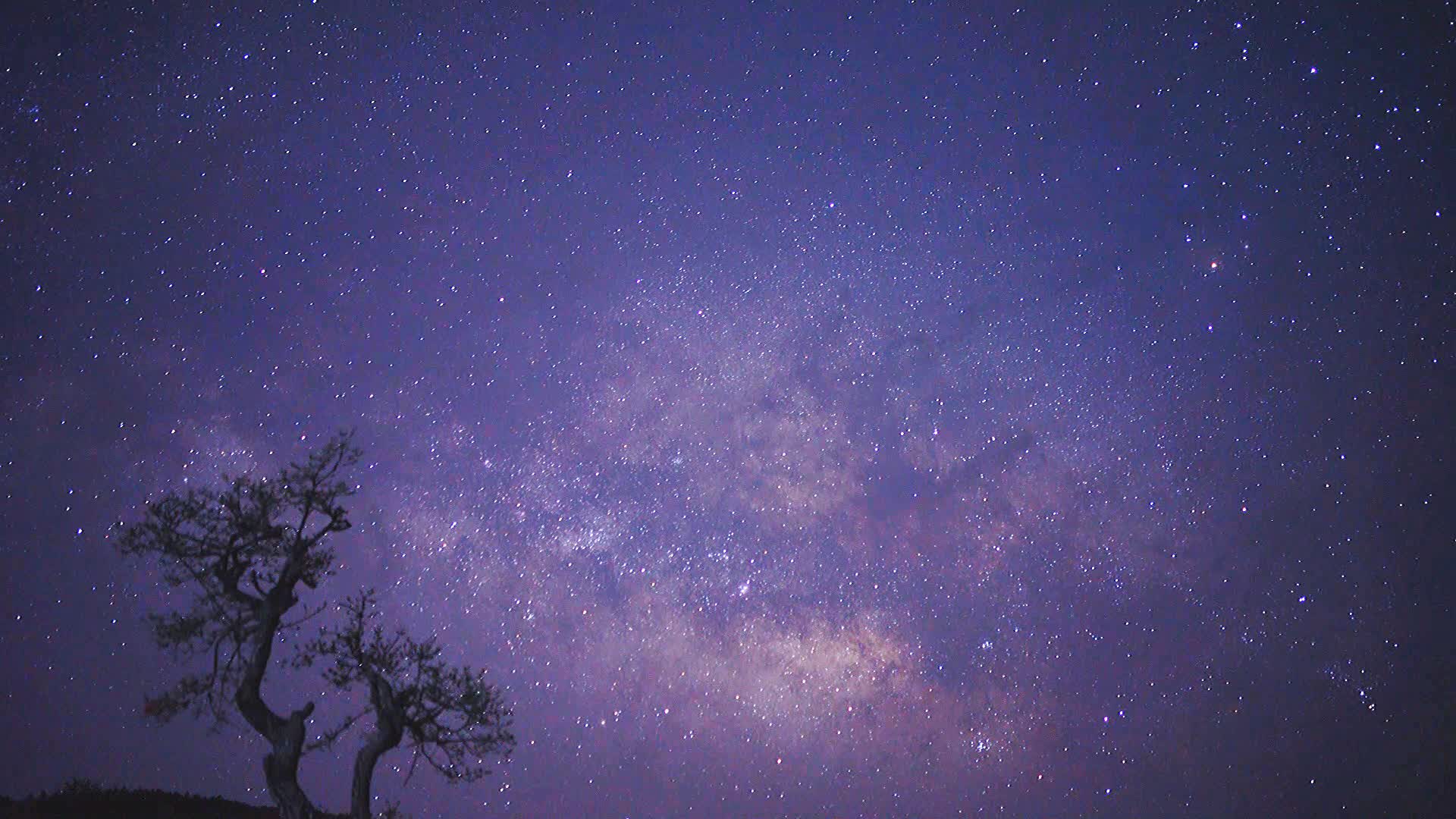 [图]夜爬拍秦岭银河延时