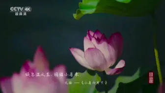 Download Video: 【广播电视】央视形象片-小暑（2024.7.6 CCTV4K、CCTV8K放送）