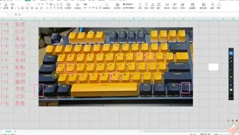 Word基础入门教学，5天学会office办公，文员必备软件