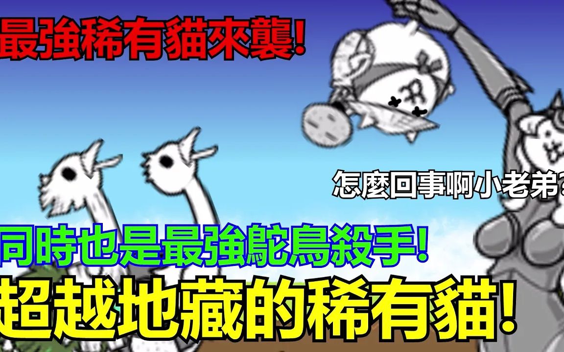 《猫咪大战争》新手期一路强势到后期!不可低估的美模猫 ! | 星帆猫咪介绍#4哔哩哔哩bilibili