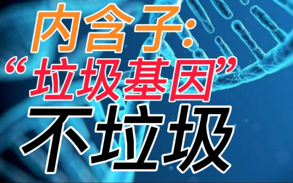 〔科普〕垃圾基因不垃圾!内含子功能浅谈哔哩哔哩bilibili