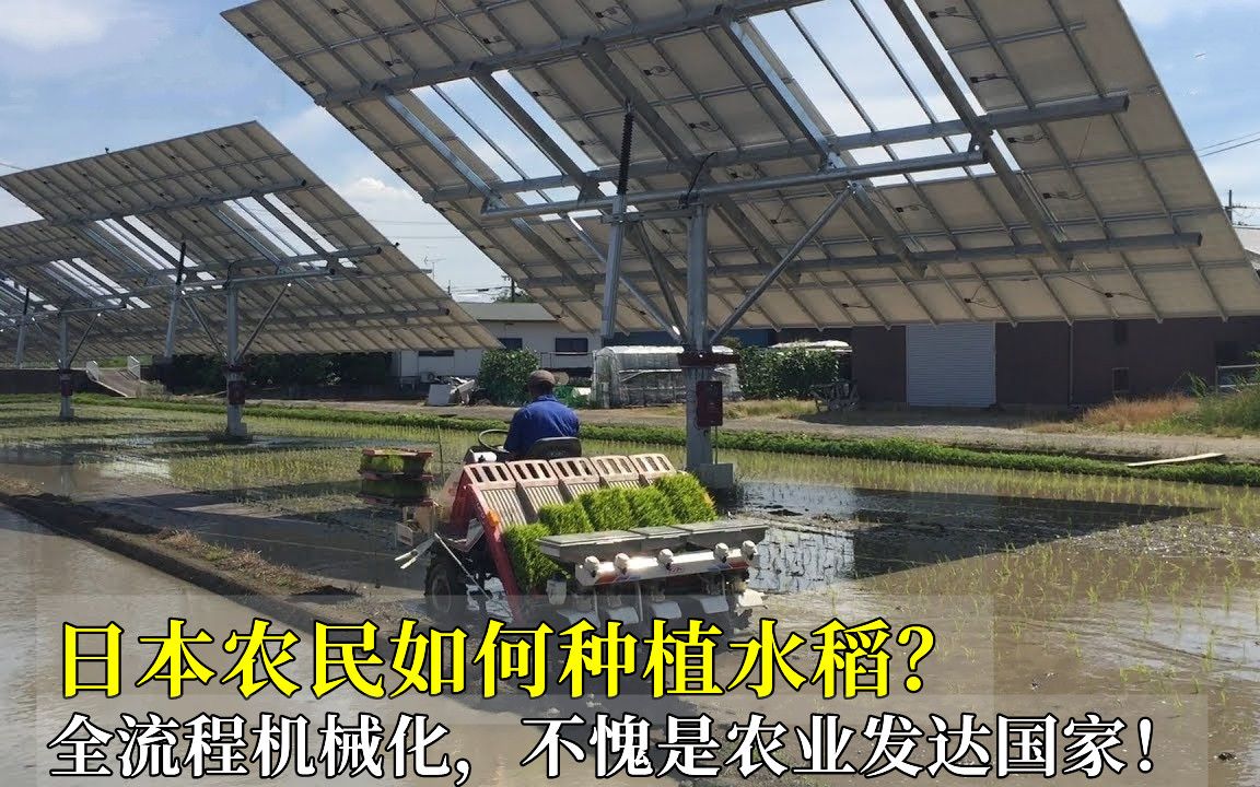 日本农民如何种植水稻?全流程机械化,不愧是农业发达国家!哔哩哔哩bilibili