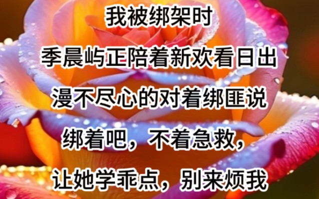 我被绑架时季晨屿正陪着新欢看日出漫不尽心的对着绑匪说绑着吧,不着急救,让她学乖点,别来烦我哔哩哔哩bilibili