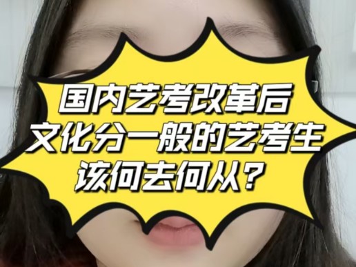 国内艺考改革后,文化分一般的艺考生该何去何从?哔哩哔哩bilibili