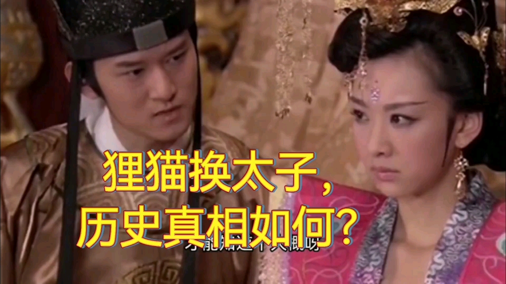 狸猫换太子电视连续剧