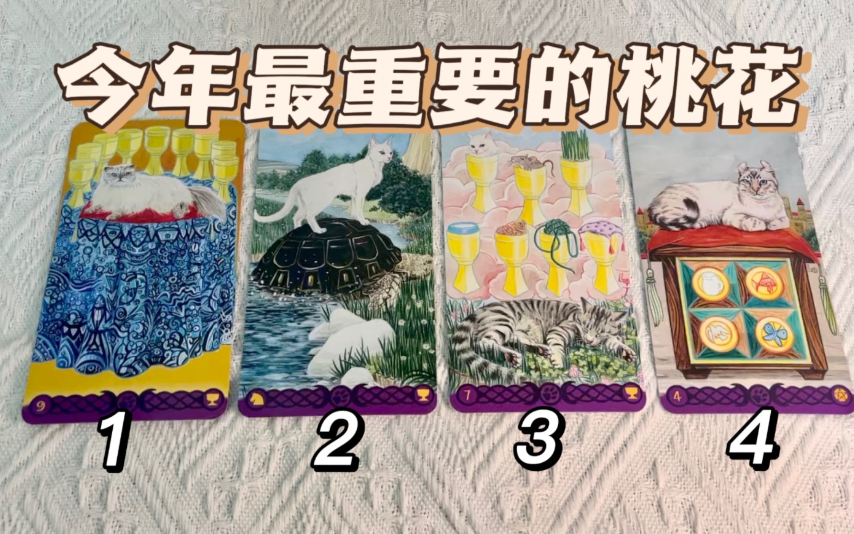 [图]【九歌塔罗】你今年最重要的桃花会在什么时候出现？会脱单吗？