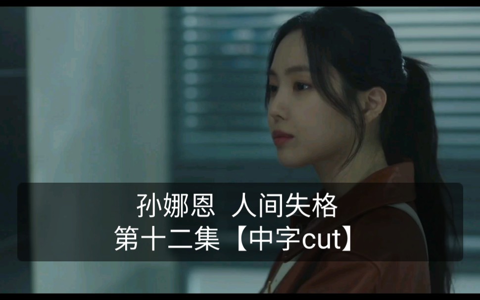 孙娜恩 人间失格 第十二集【中字cut】哔哩哔哩bilibili