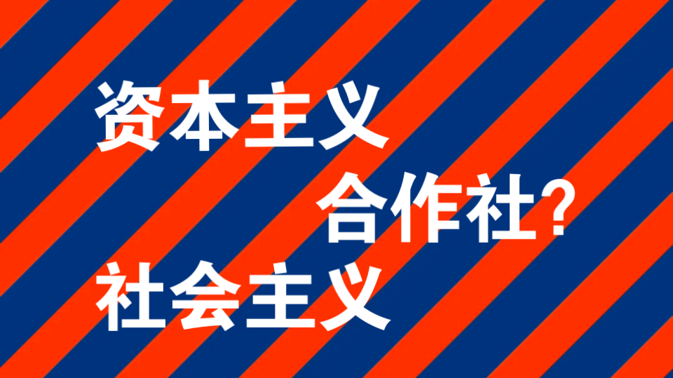 「讲座」:一个视频讲清合作社对社会主义的意义哔哩哔哩bilibili