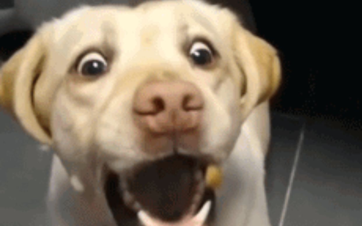 (o_o;)网络上让人笑出声的沙雕图#第2期