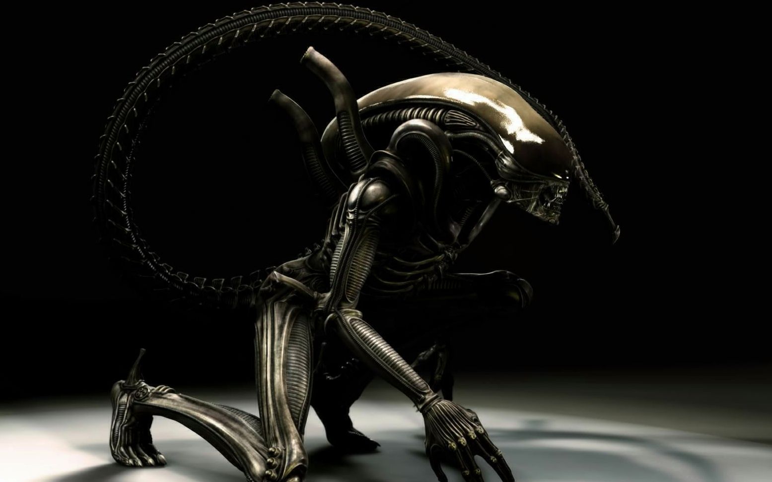 异形大战铁血战士2