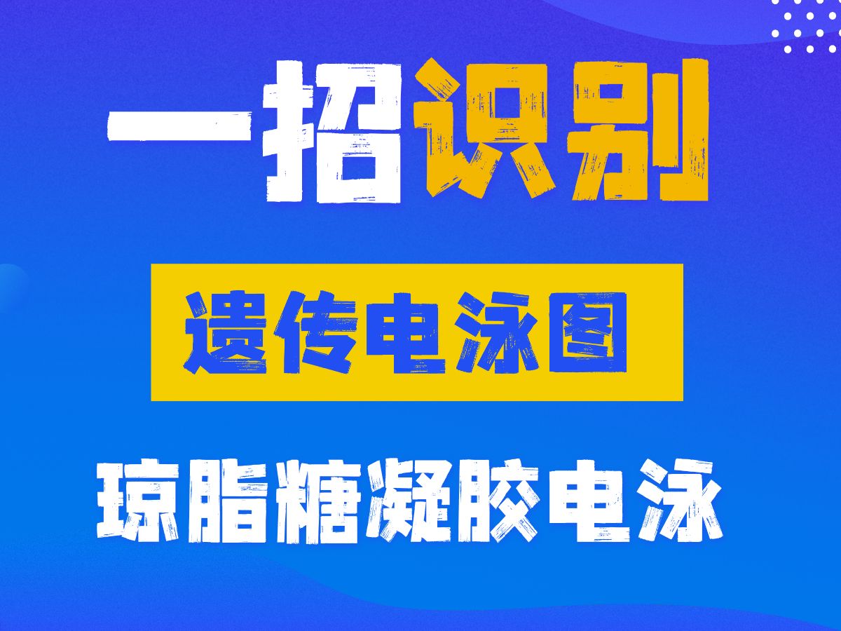 学会!遗传电泳图分析和琼脂糖凝胶电泳原理哔哩哔哩bilibili