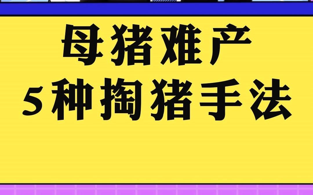 母猪难产的5种情况及5种母猪助产掏猪的的手法!养猪一定要会!哔哩哔哩bilibili