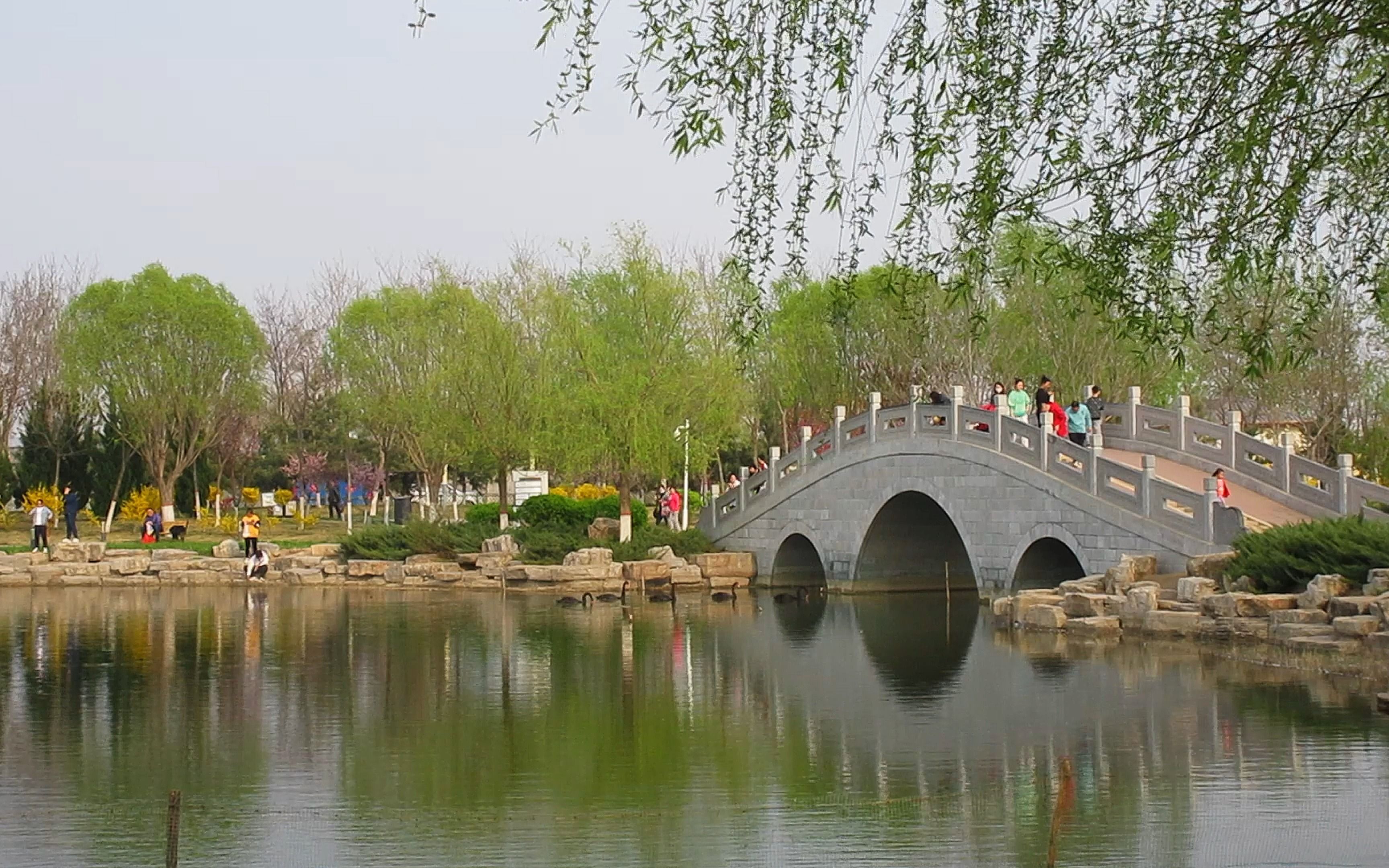 2023-4-2任丘《石化公园》