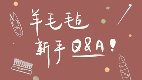 羊毛毡新手向 羊毛毡新手常见问题q A 哔哩哔哩 つロ干杯 Bilibili