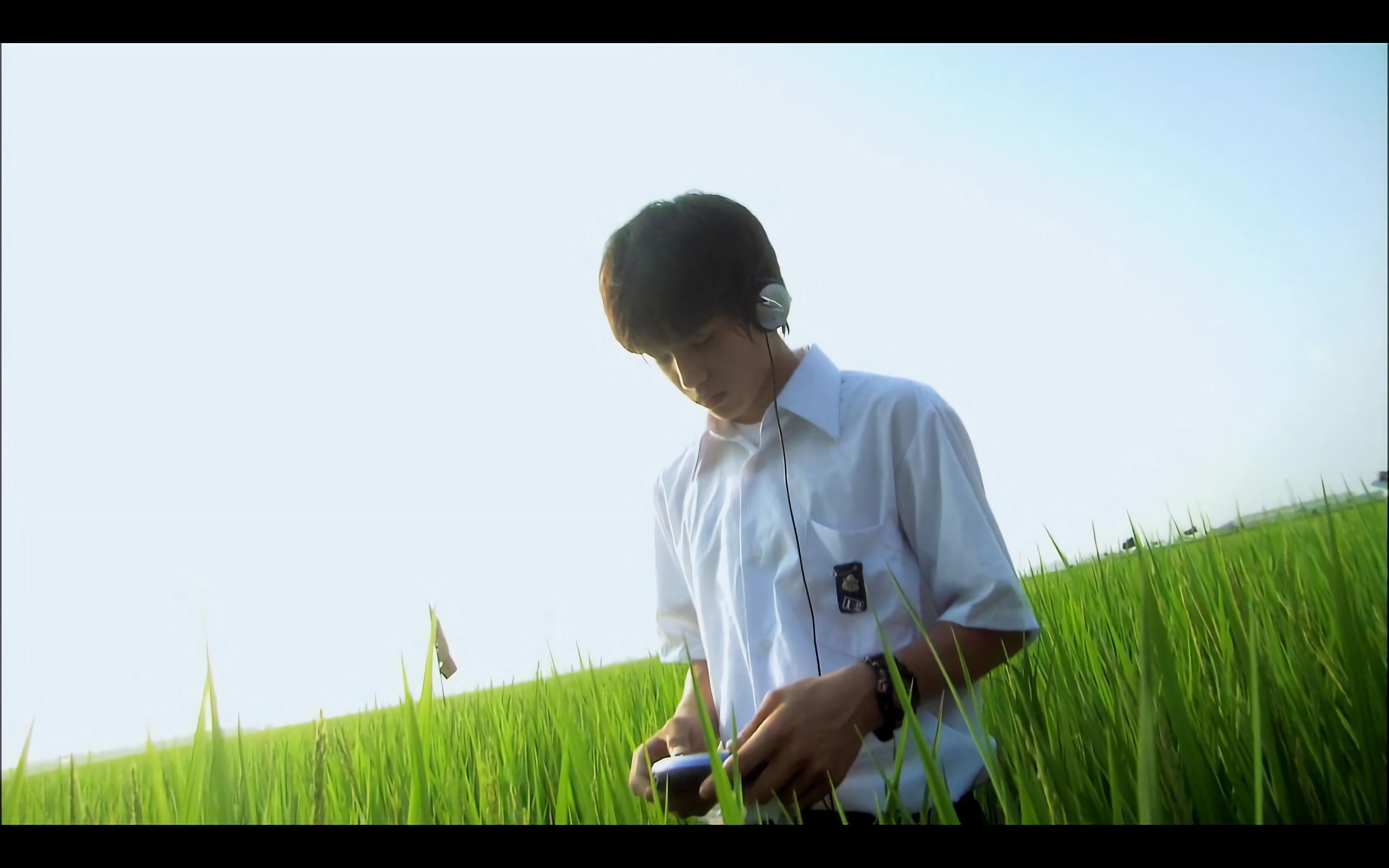 关于莉莉周的一切