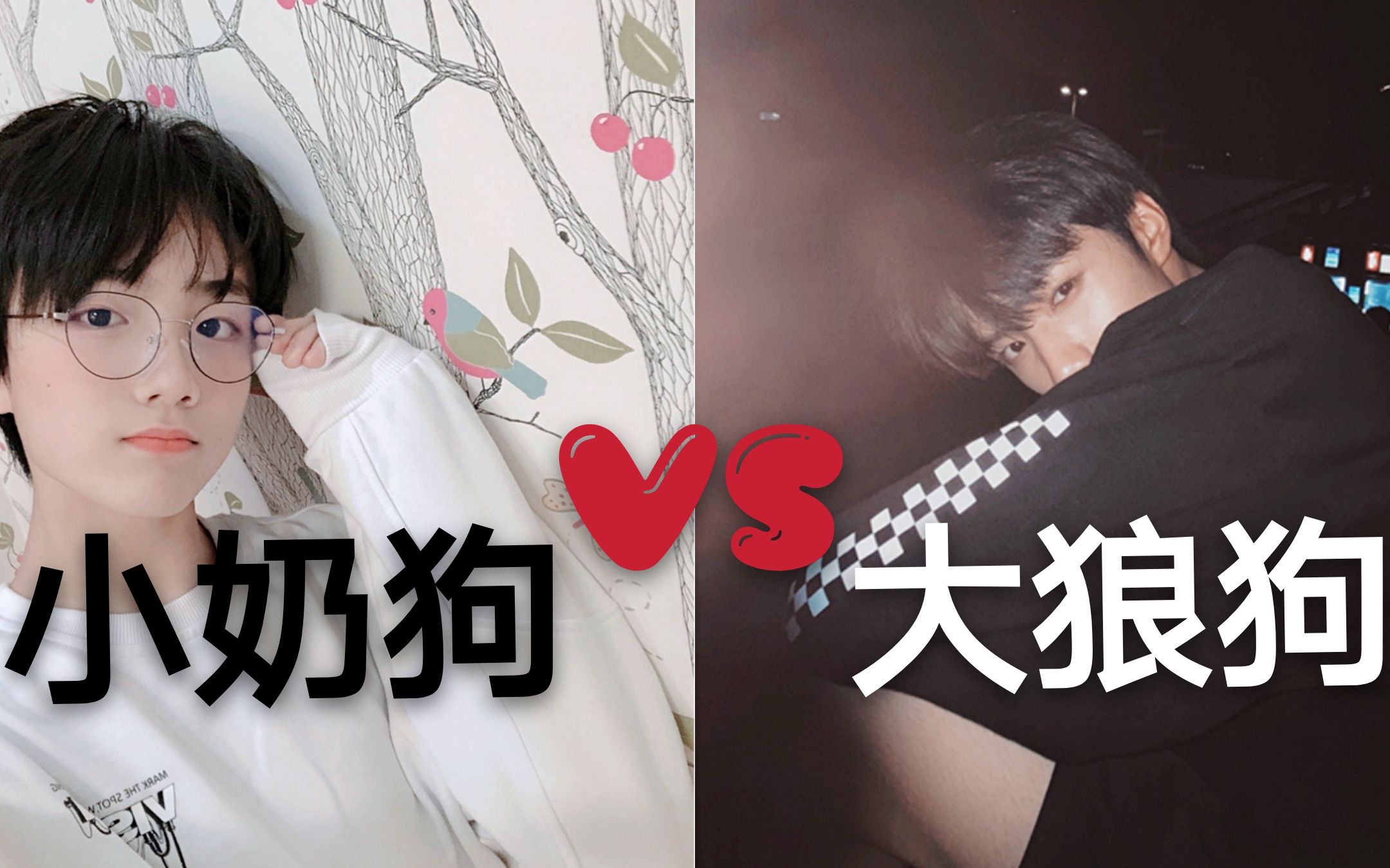 【苏棍|文朱】小奶狗vs大狼狗