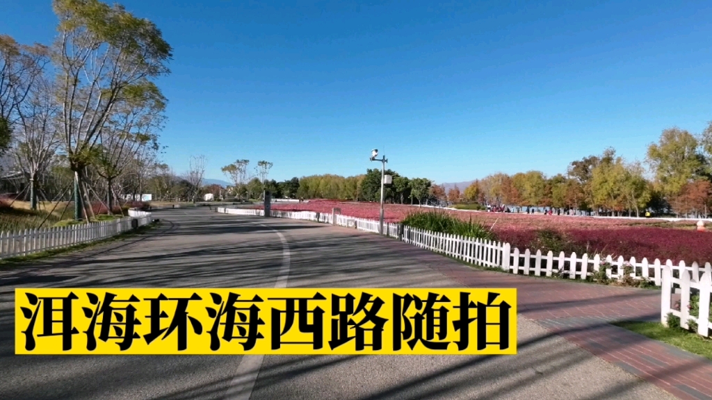 洱海环海西路随拍