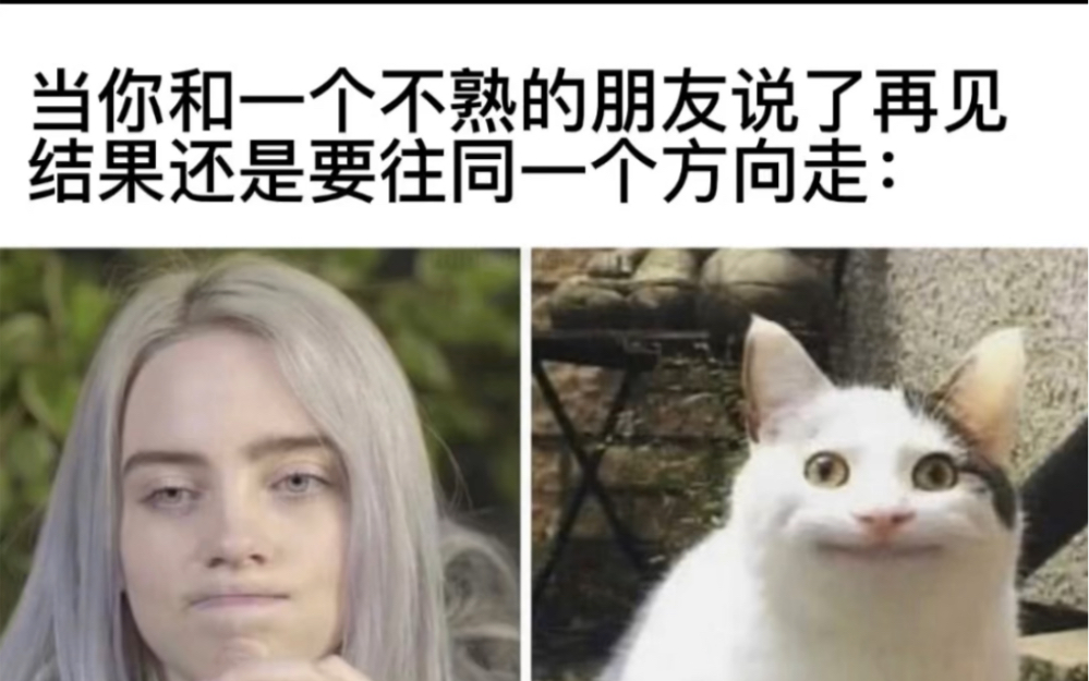{人间真实精选网络沙雕梗图}