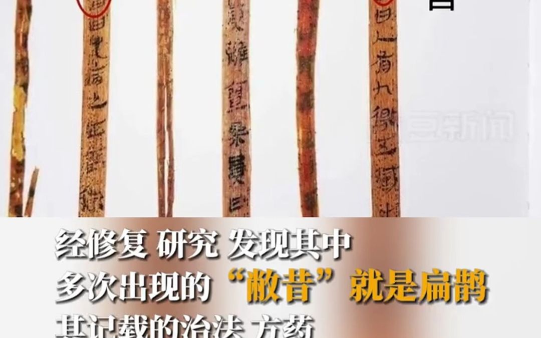 失传2000多年的扁鹊医书找到了 116枚简牍已完成修复 药方还能用哔哩哔哩bilibili