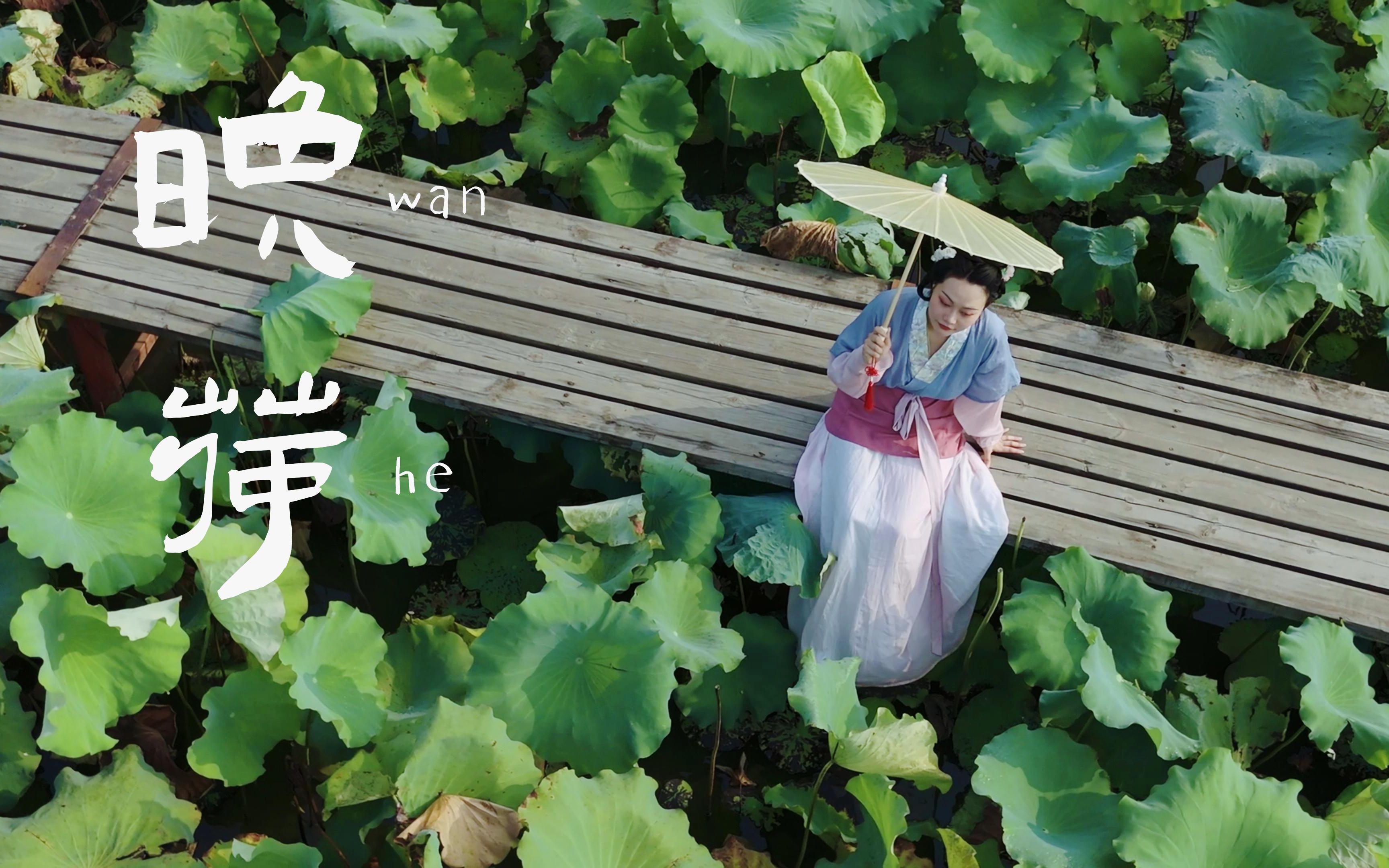 【原创】满池荷花香,怎能不叹人间好风光哔哩哔哩bilibili