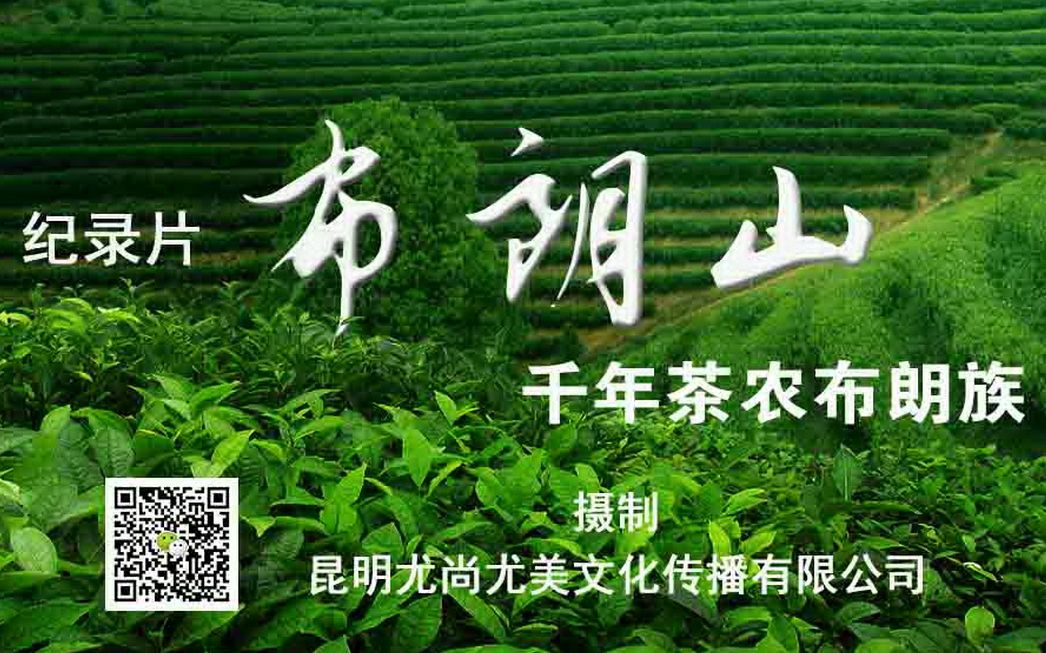 《布朗山千年茶农布朗族》宣传片哔哩哔哩bilibili