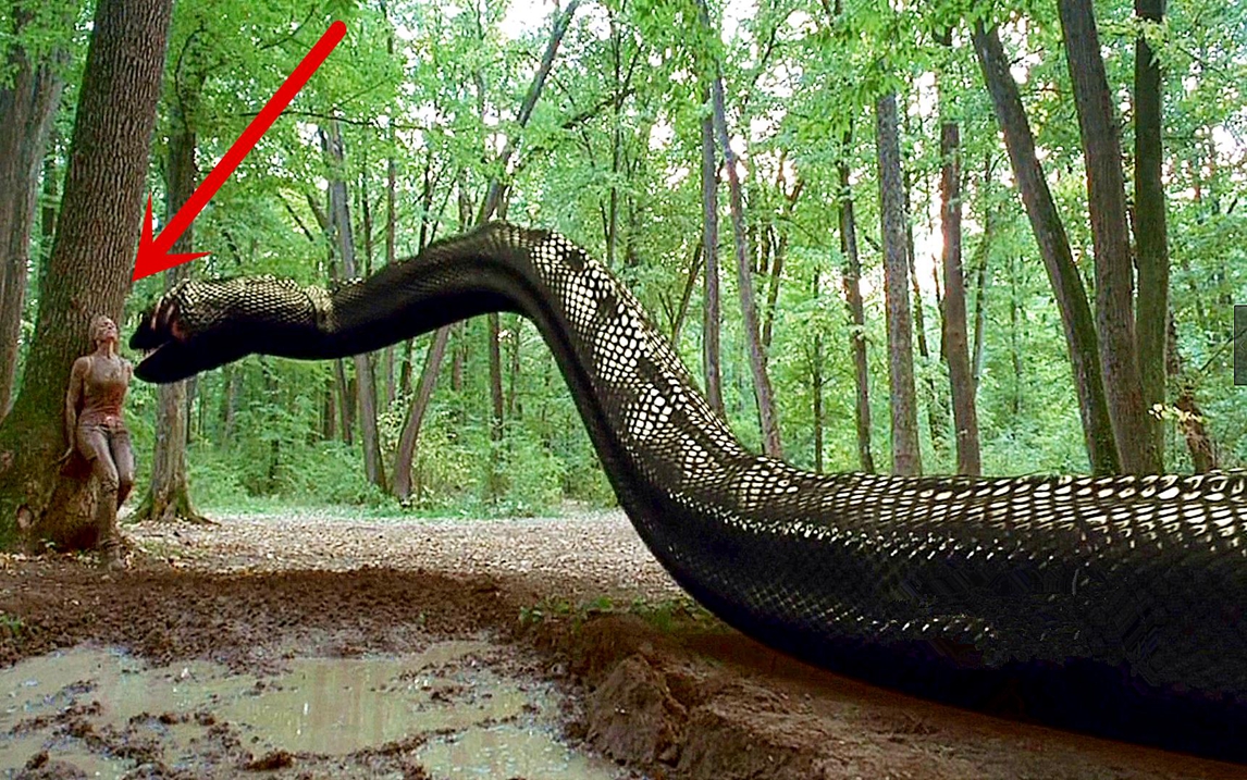 变异巨蟒蛇4图片
