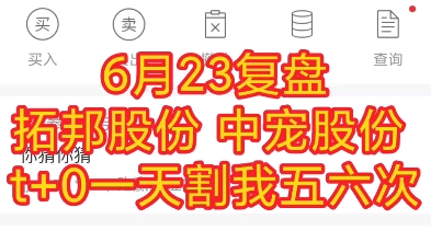 6月23 复盘 拓邦股份 中宠股份 t+0一天割我五六次哔哩哔哩bilibili