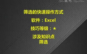 下载视频: EXCEL筛选的快速操作