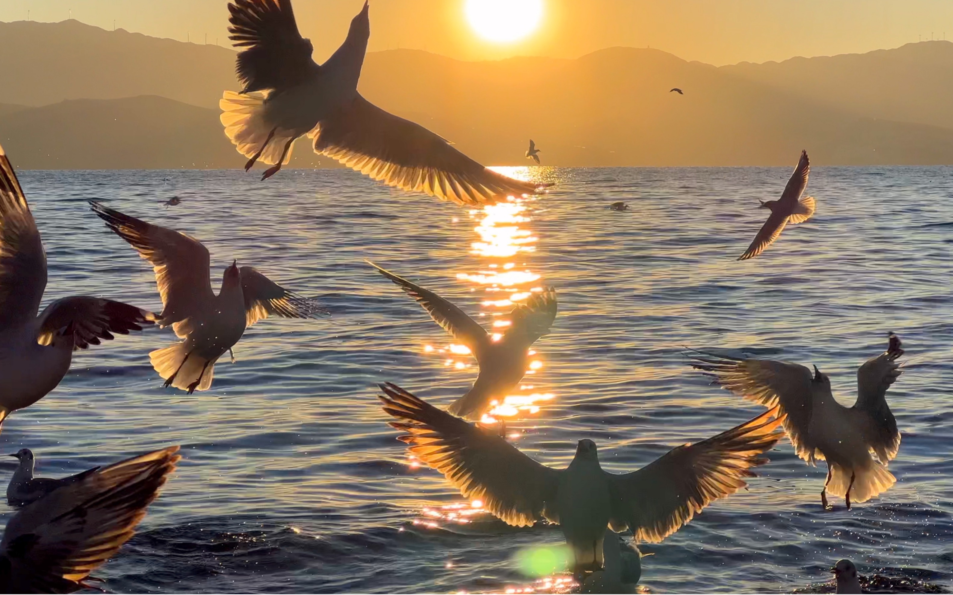 来大理的话,我劝你不要错过一场洱海的日出