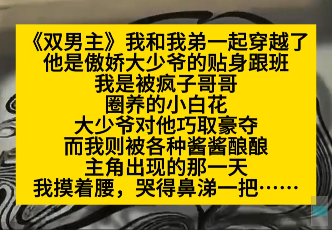 双男主 我和我弟一起穿越了,他是傲娇大少爷的跟班,我是疯子哥哥的小白花……小说推荐哔哩哔哩bilibili