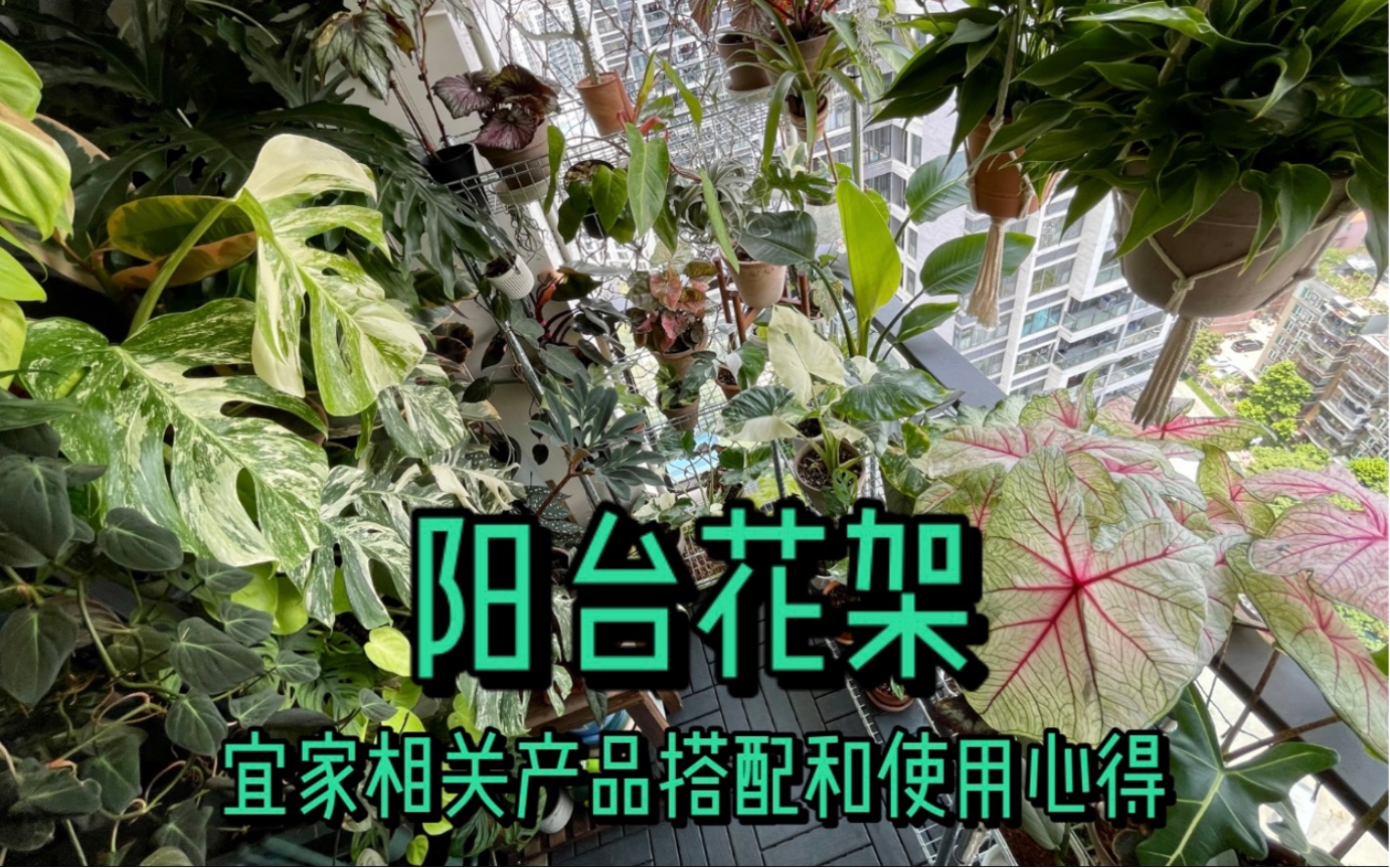 阳台花架分享哔哩哔哩bilibili