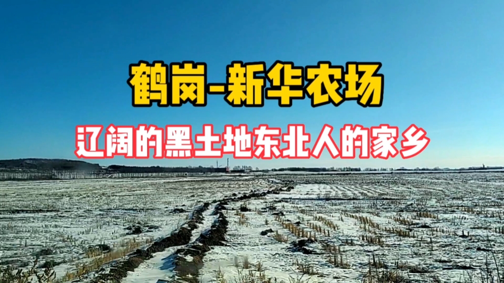 鹤岗新华农场辽阔黑土地,这就是东北人故乡之情,走到哪里都怀念