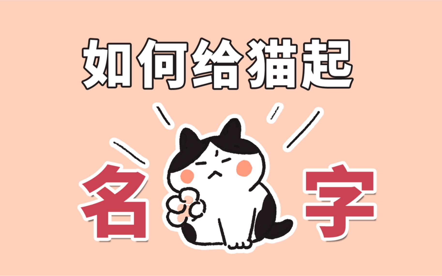 铲屎官怎么给小猫咪起名字?咪咪为啥全国通用?哔哩哔哩bilibili