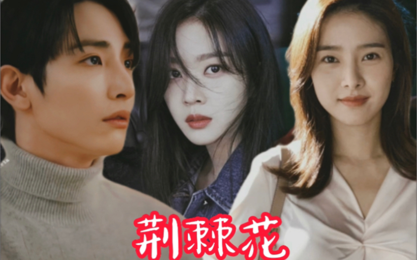 荆棘花(李洙赫*金素恩*赵宝儿)鬼玲夫妇与另一名女子的前世今生