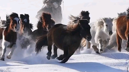 [图]马踏千里雪，天骄在东方。