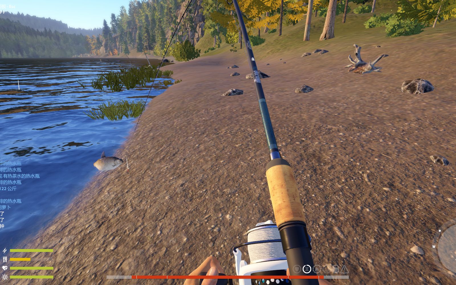 俄罗斯钓鱼4 星宽鼻白鲑.