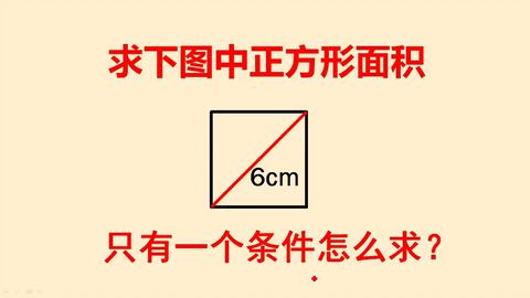 三年级思维训练 只告诉对角线长度 怎么求正方形面积呢 哔哩哔哩