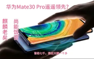 Download Video: 千元机的价格，旗舰机的体验——华为Mate30 Pro还值得买吗？