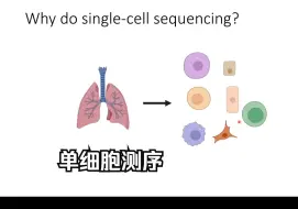 Download Video: 研究生必备 | 单细胞测序简介 | scRNA-seq