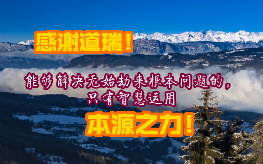 感谢道瑞!能够解决无始劫来根本问题的,只有智慧运用本源之力!哔哩哔哩bilibili