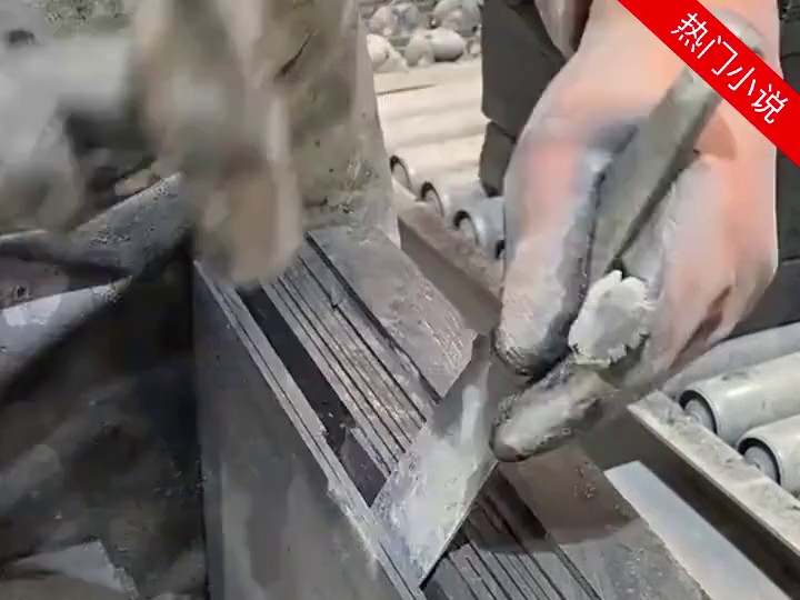 舍身误认争宠2