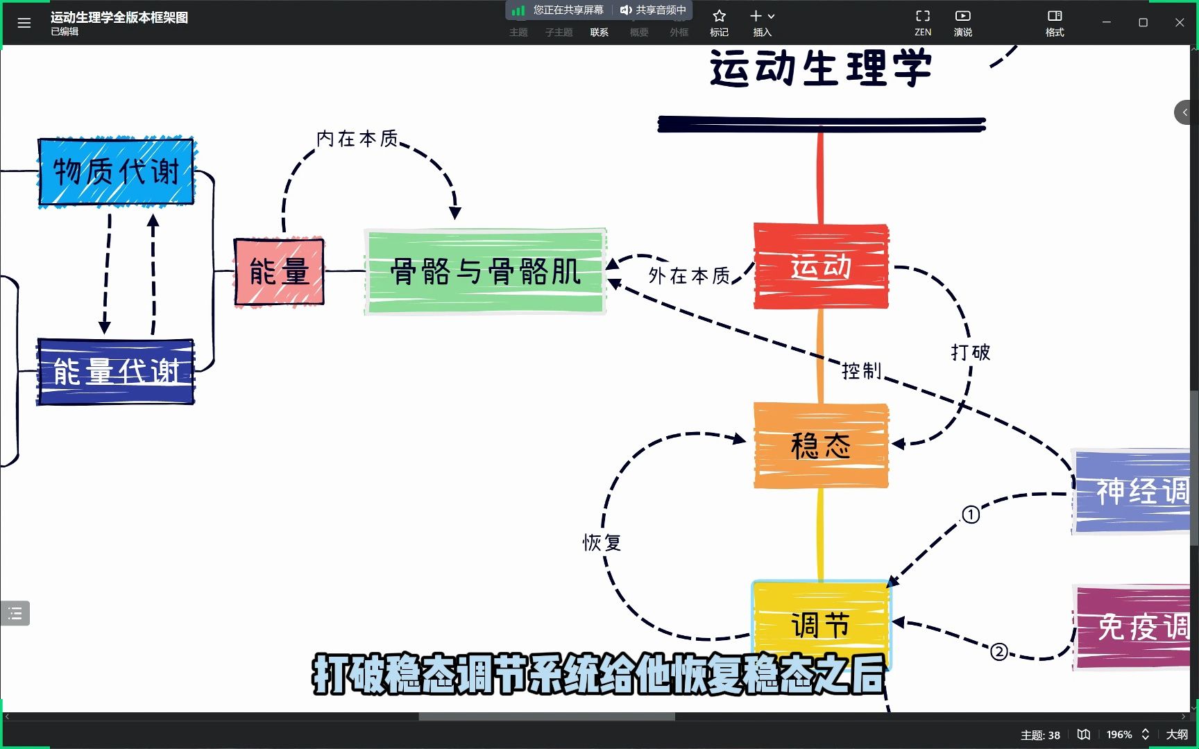 【运动生理学全版本进阶框架】不看会后悔系列,如何理解与应用运动生理学?哔哩哔哩bilibili