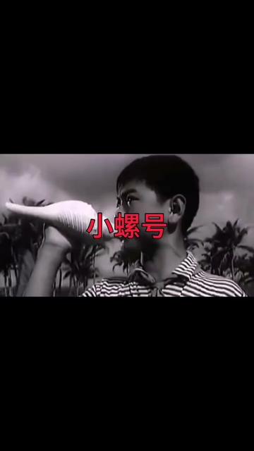 《小螺号》是一首描绘新时代海边渔家儿童生活情景的歌曲,由付林作词