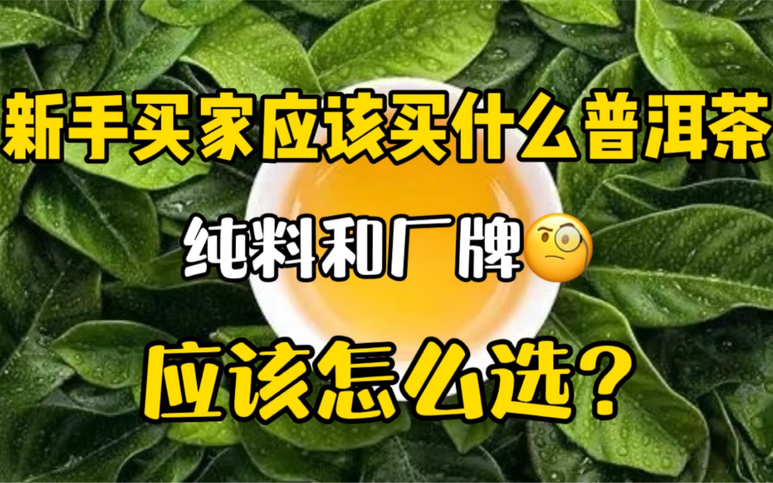 新手买家应该买什么普洱茶?纯料山头茶和知名大厂厂牌,应该怎么挑选?优缺点对比和分析 找到真正适合自己的茶 小白必看科普知识分享哔哩哔哩bilibili