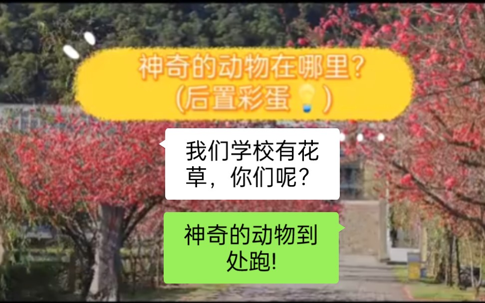 [图][高能预警!]神奇的动物在哪里？学校居然到处都有出没，飞的跑的游的我可都见识了♚