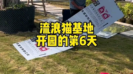 用尽全力耗资50万亲手打造的流浪猫基地,虽然提前开园了,但很多东西因为资金原因没能理想中那样,只能挣一点完善一点,8号猫咪可以小批量出来了,...